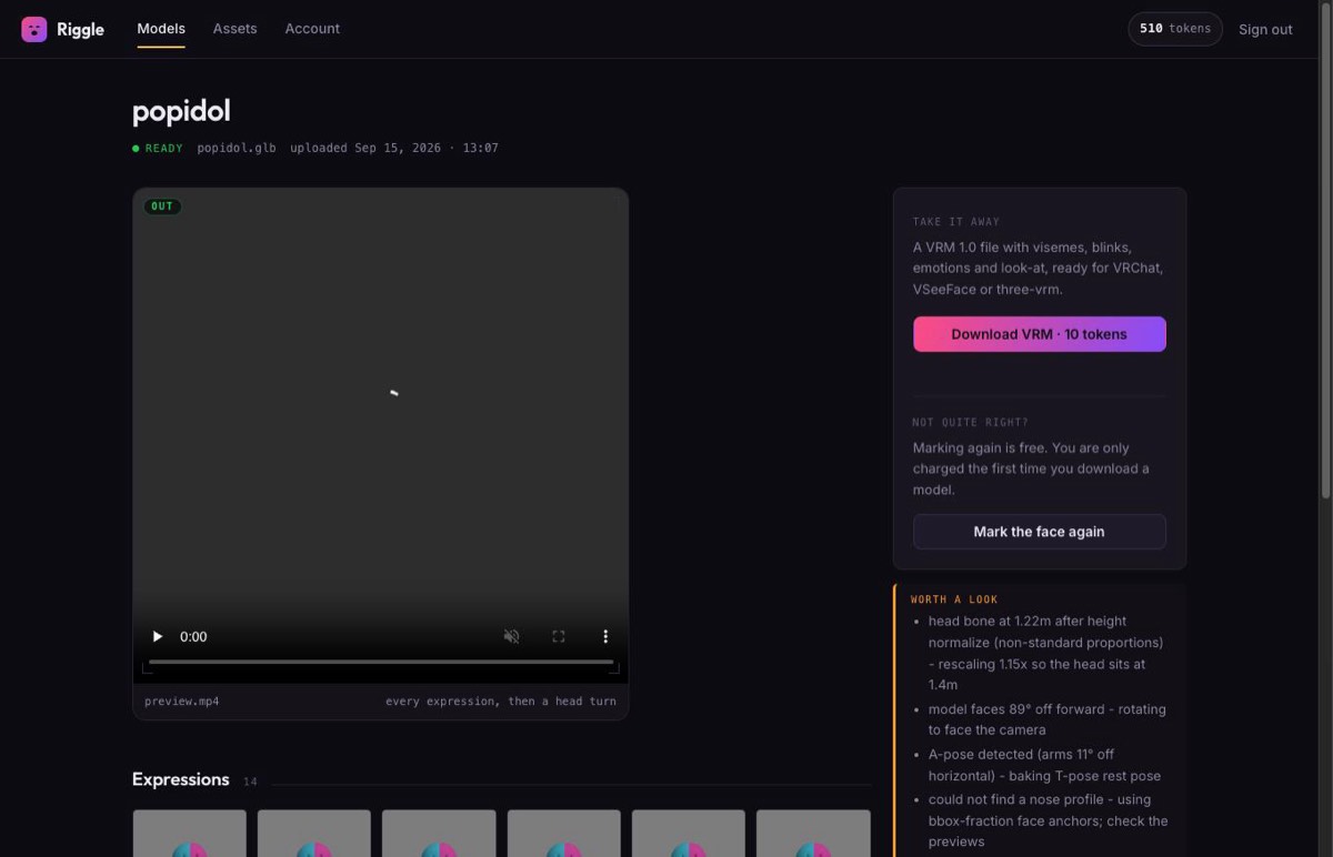 A finished avatar in Riggle: a preview video of every expression, the download button, and a plain-language list of the corrections the pipeline made during conversion.